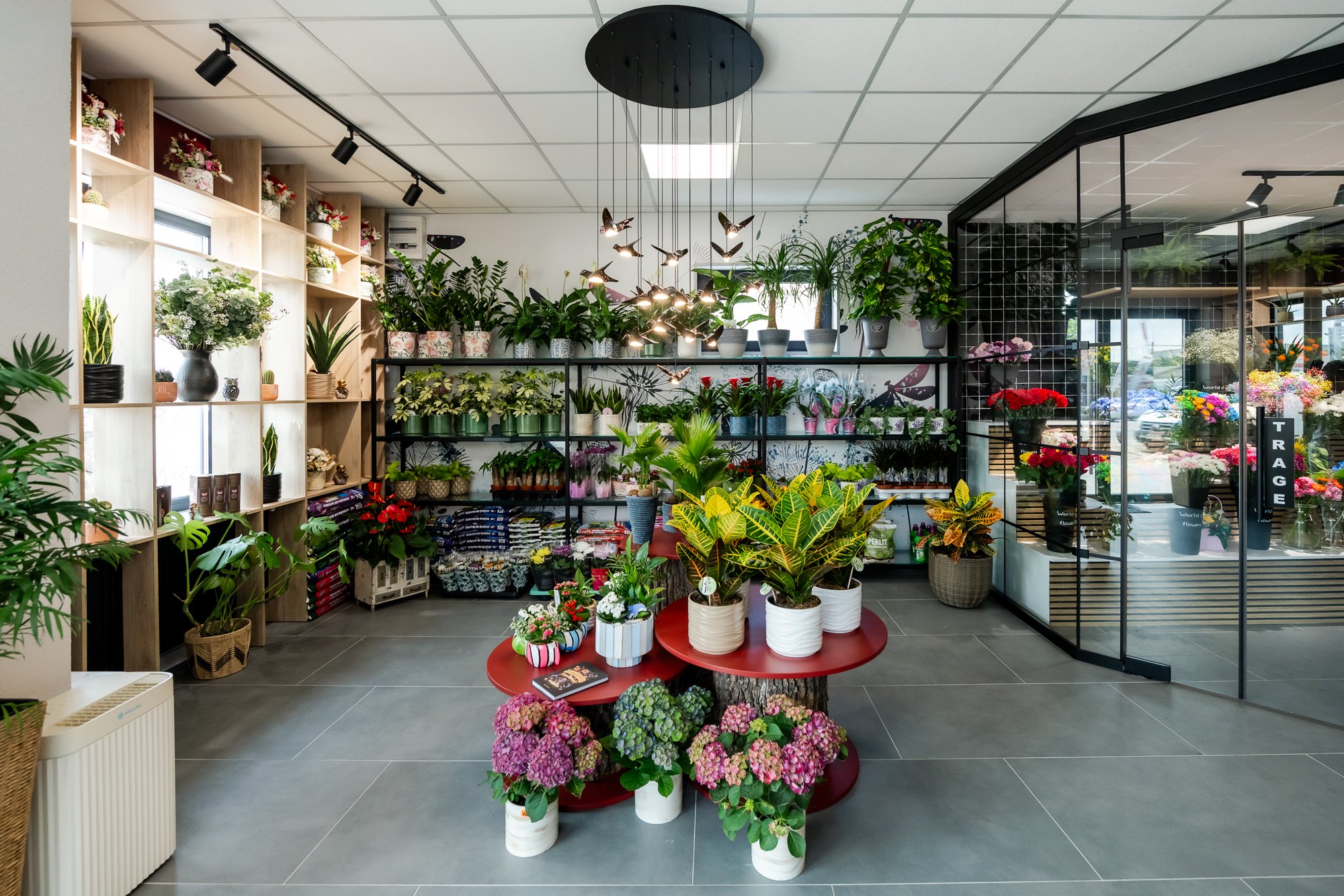 Florărie cu mese-expozor rotunde burgundy, rafturi metalice negre și vitrină cu ramă neagră
